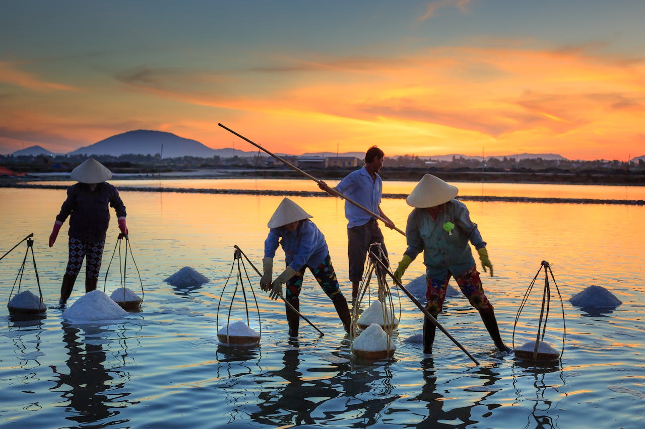 Workers gather salt in a serene sunset setting, reflecting cultural practices and scenic beauty.